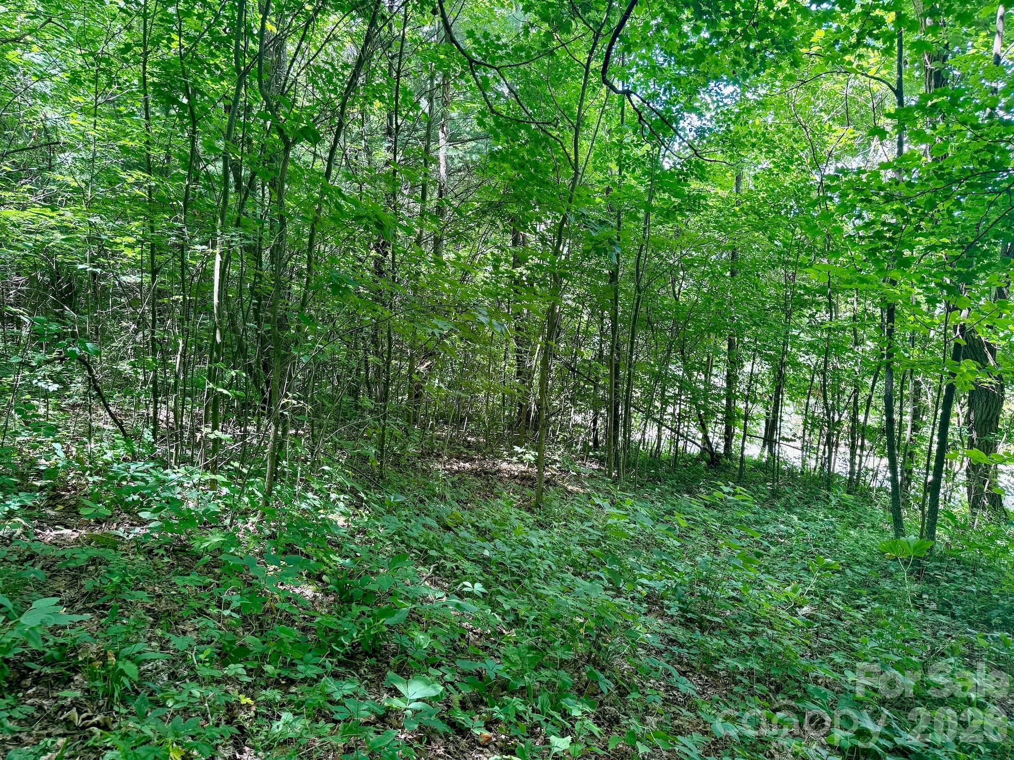Lot at 35 Flying Hawk Way, Clyde, photo 11 of 22