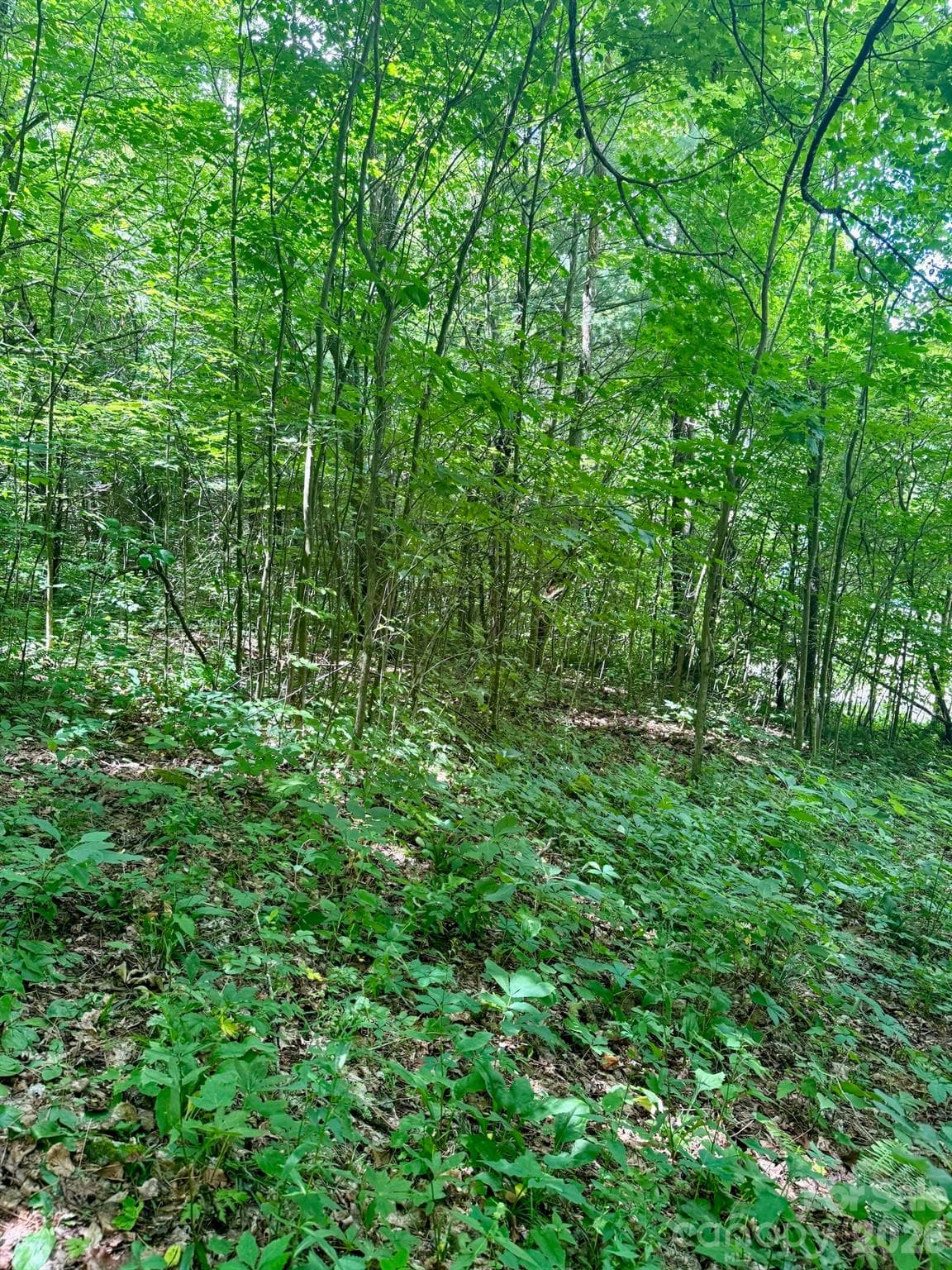 Lot at 35 Flying Hawk Way, Clyde, photo 12 of 22