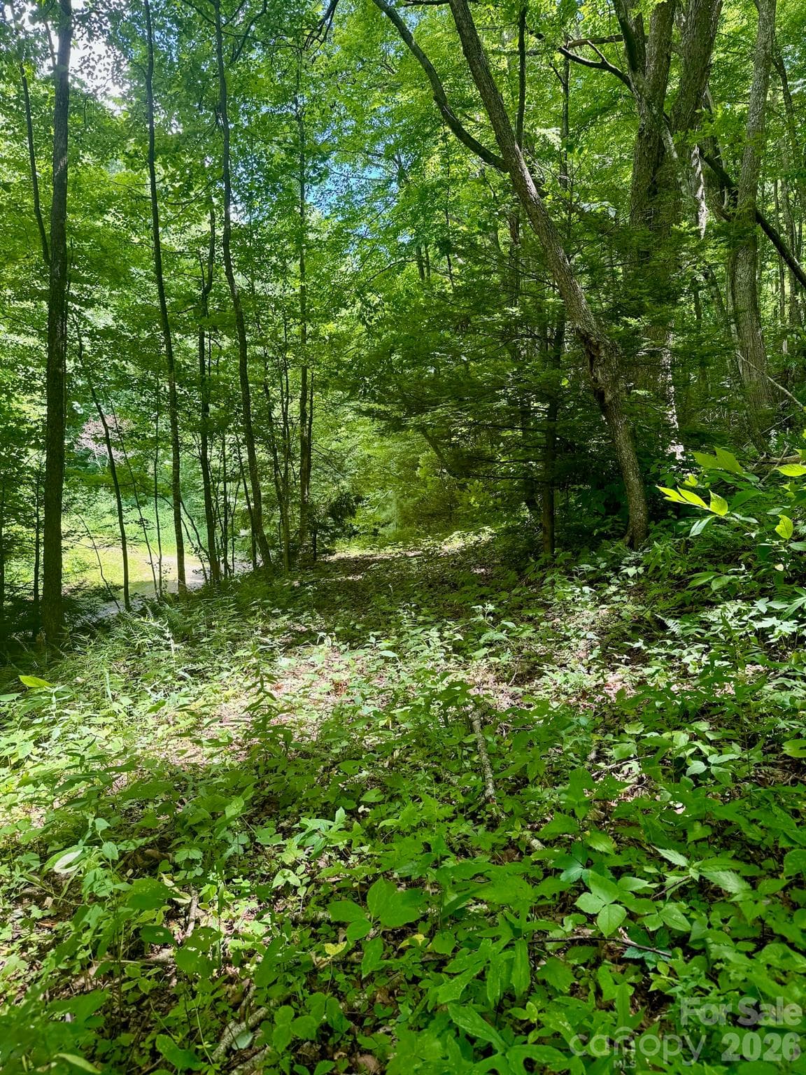 Lot at 35 Flying Hawk Way, Clyde, photo 13 of 22
