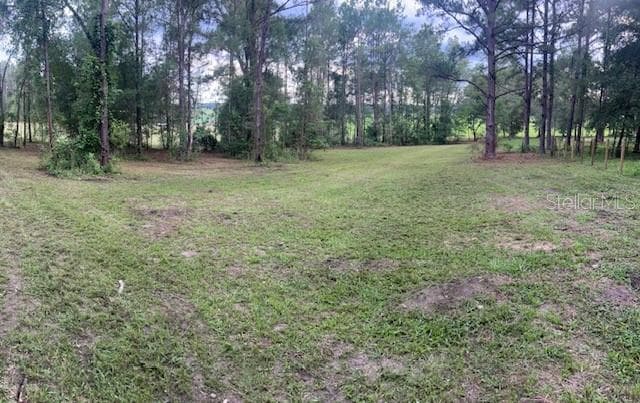 Land at Lot 19 254TH LN, ALACHUA, photo 19 of 25