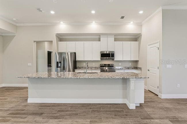 Model home - actual features may vary. - 3714 ROMA CT, PLANT CITY
