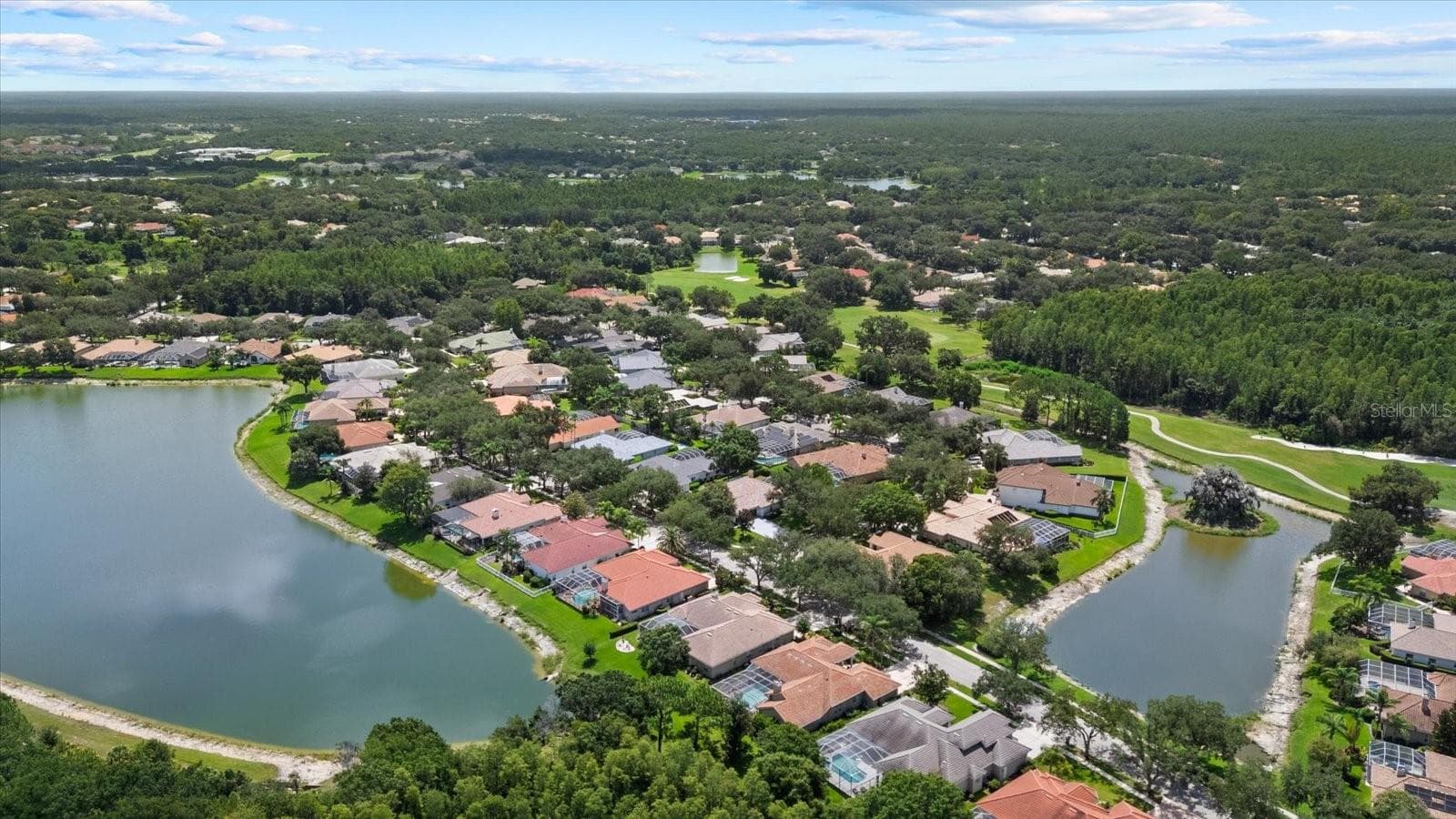 Single Family Residence at 9145 HIGHLAND RIDGE WAY, TAMPA, photo 41 of 51