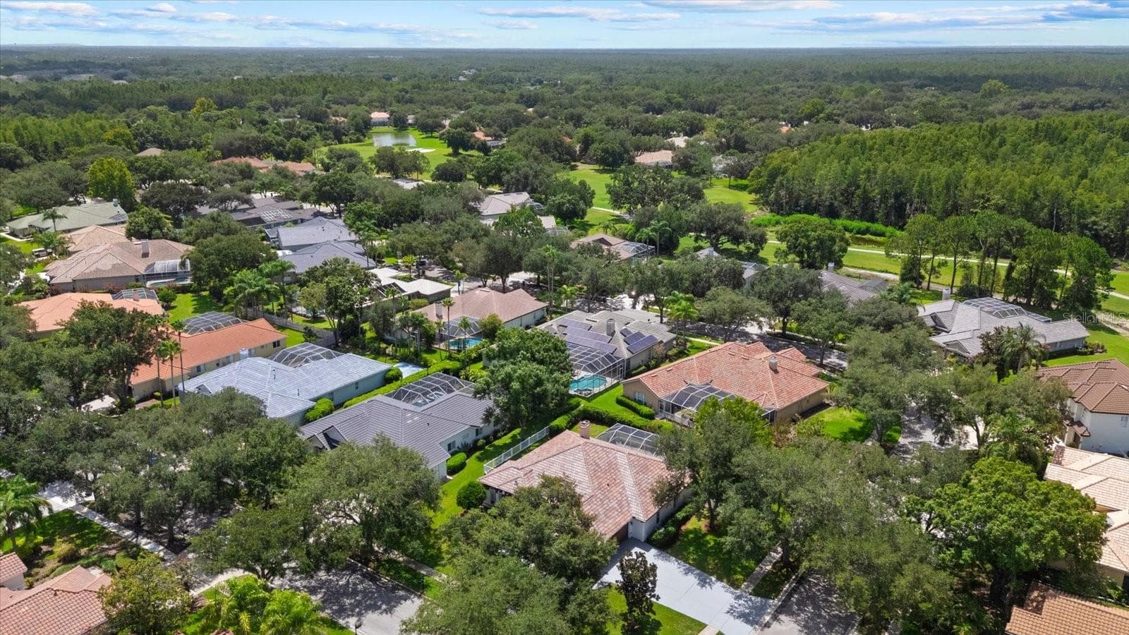 Single Family Residence at 9145 HIGHLAND RIDGE WAY, TAMPA, photo 44 of 51