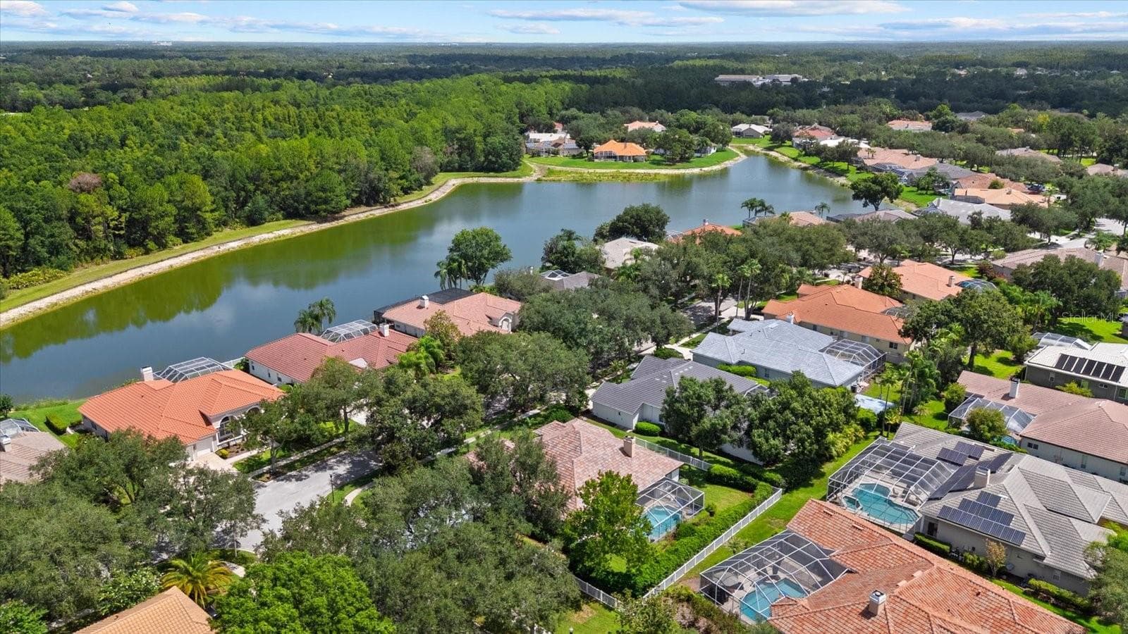Single Family Residence at 9145 HIGHLAND RIDGE WAY, TAMPA, photo 46 of 51