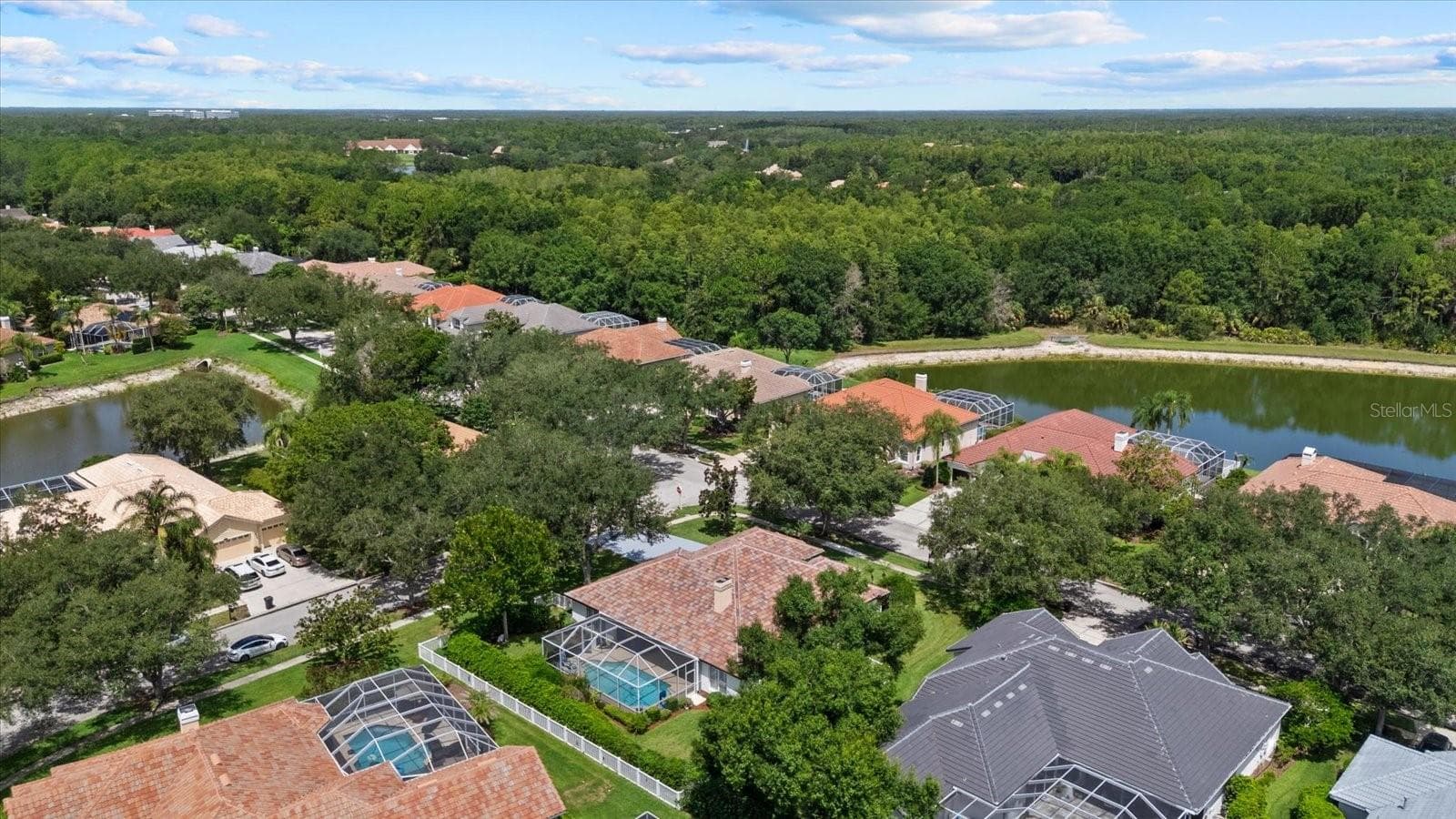 Single Family Residence at 9145 HIGHLAND RIDGE WAY, TAMPA, photo 48 of 51