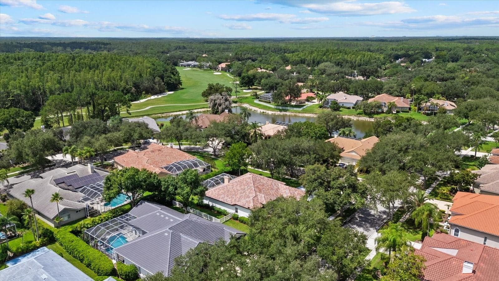 Single Family Residence at 9145 HIGHLAND RIDGE WAY, TAMPA, photo 49 of 51