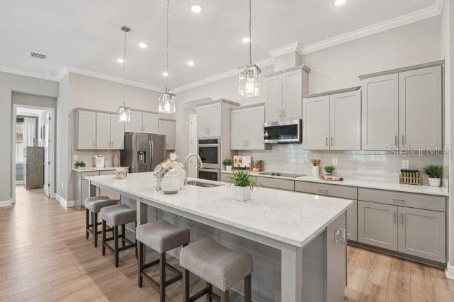 Model home - actual features may vary. - 3919 VINO TINTO PL, PLANT CITY