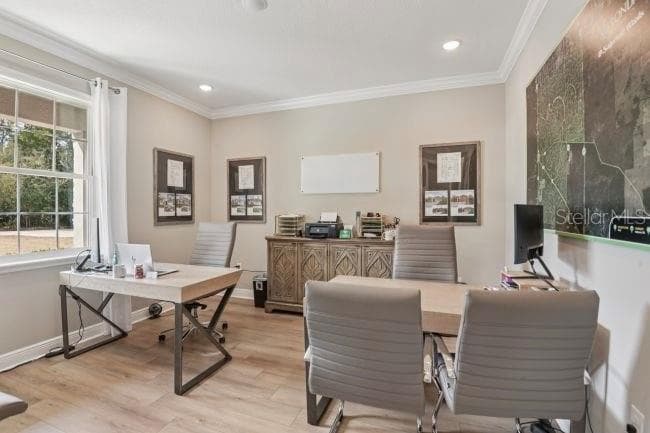 Model home - actual features may vary. - 3919 VINO TINTO PL, PLANT CITY