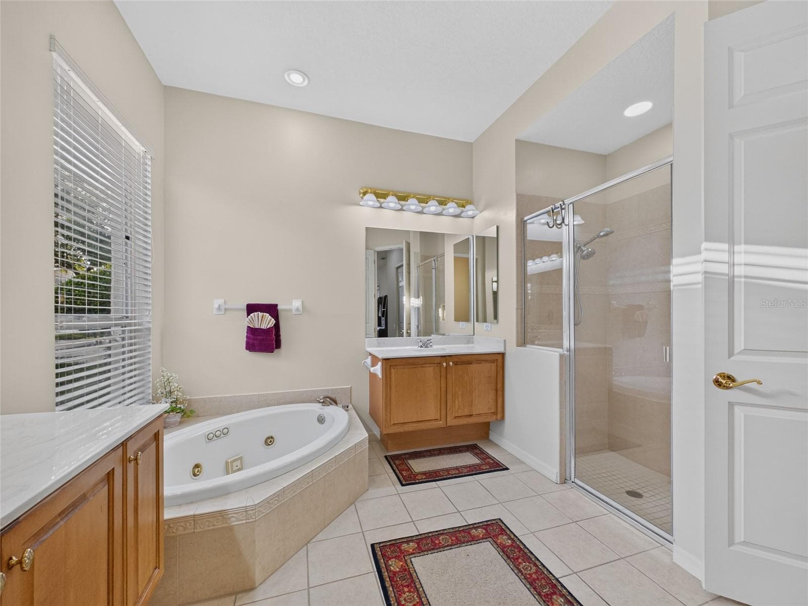Single Family Residence at 10207 ESTUARY DR, TAMPA, photo 51 of 97