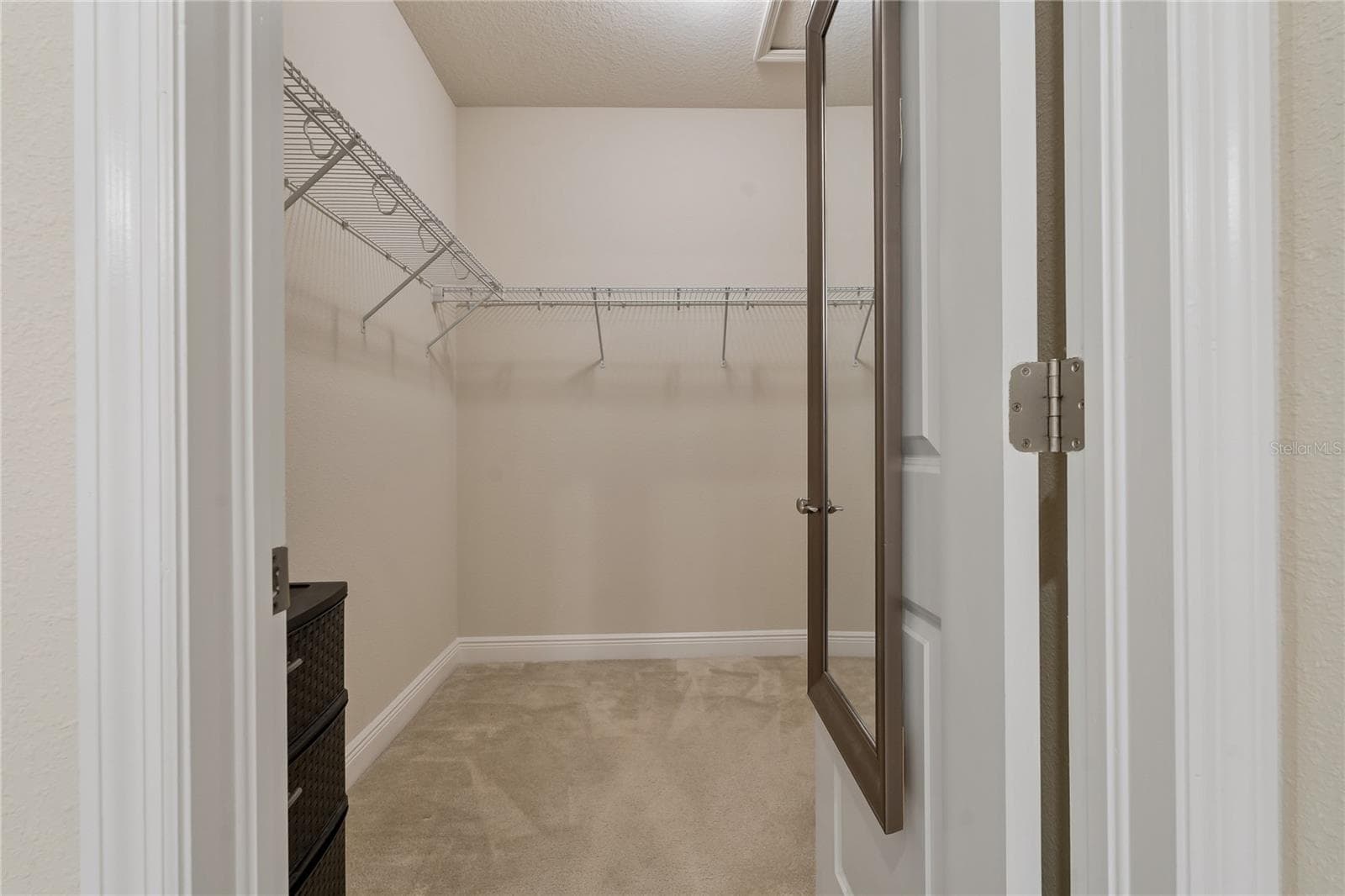 Walk In Closet in the Primary! - 597 OZONA VILLAGE DR, PALM HARBOR