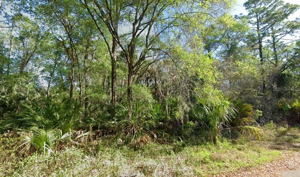 Land