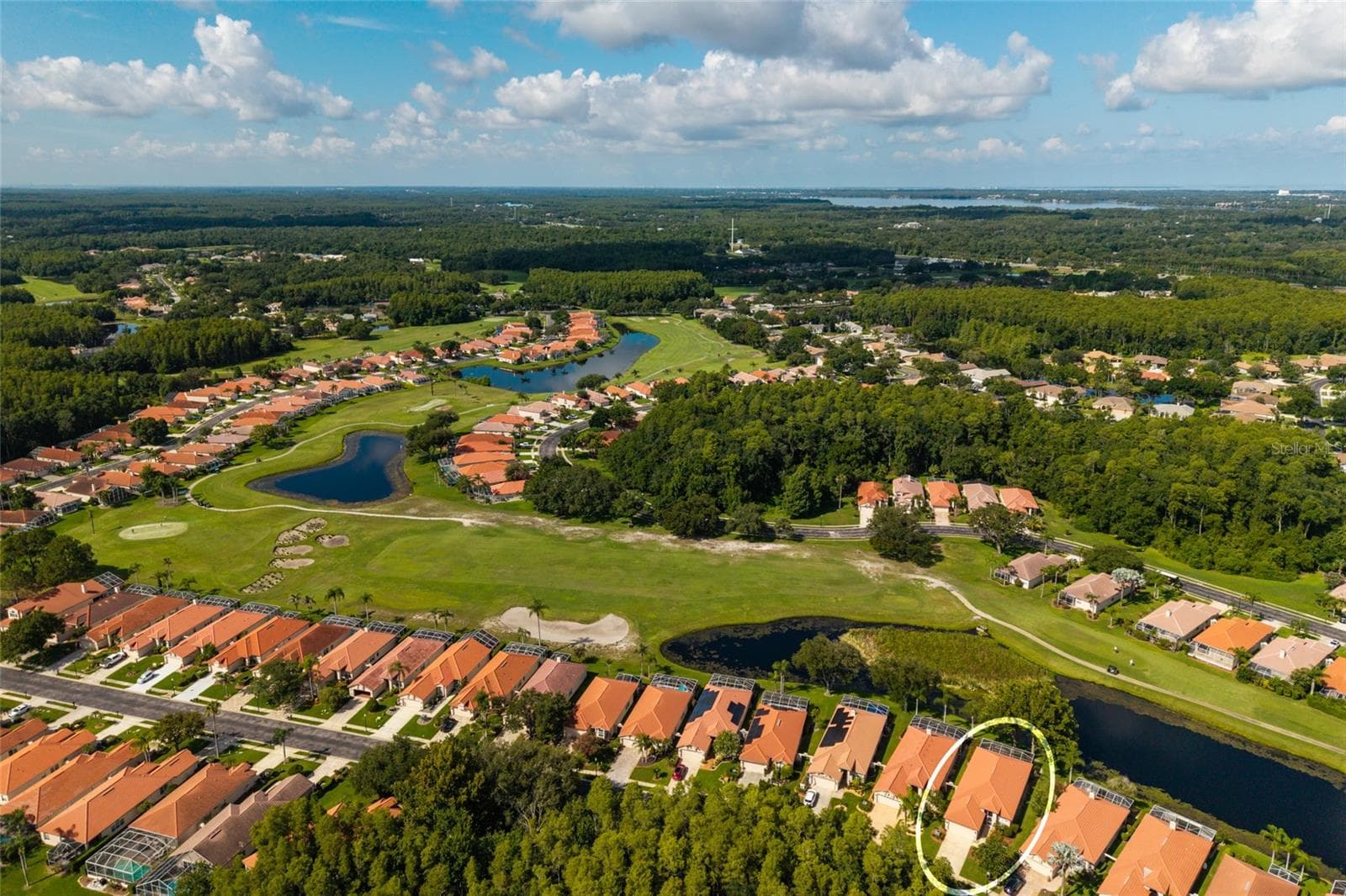 Ariel views of several lakes and the golf course - 1338 DARTFORD DR, TARPON SPRINGS