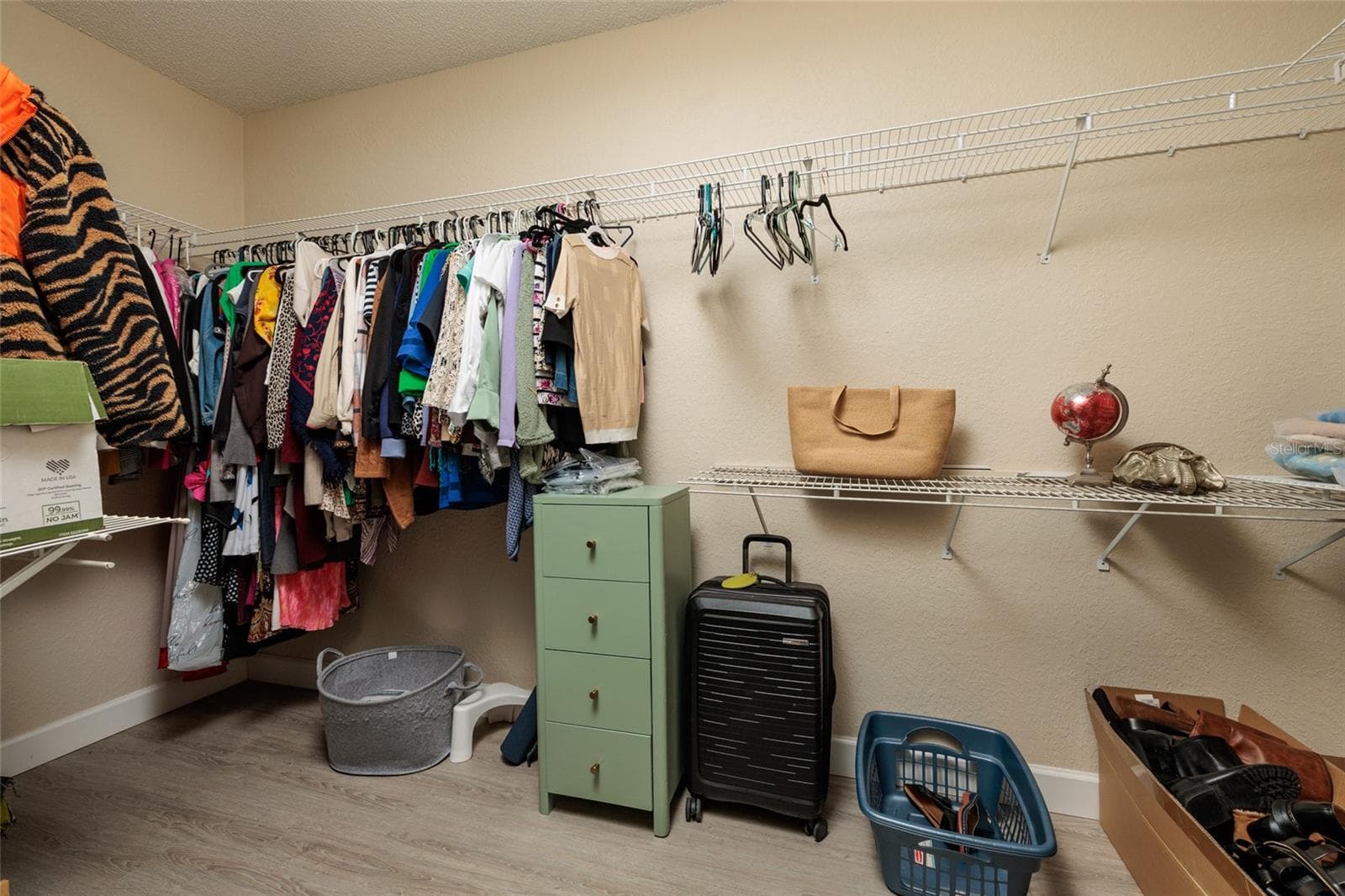 Primary walk in closet - 1338 DARTFORD DR, TARPON SPRINGS