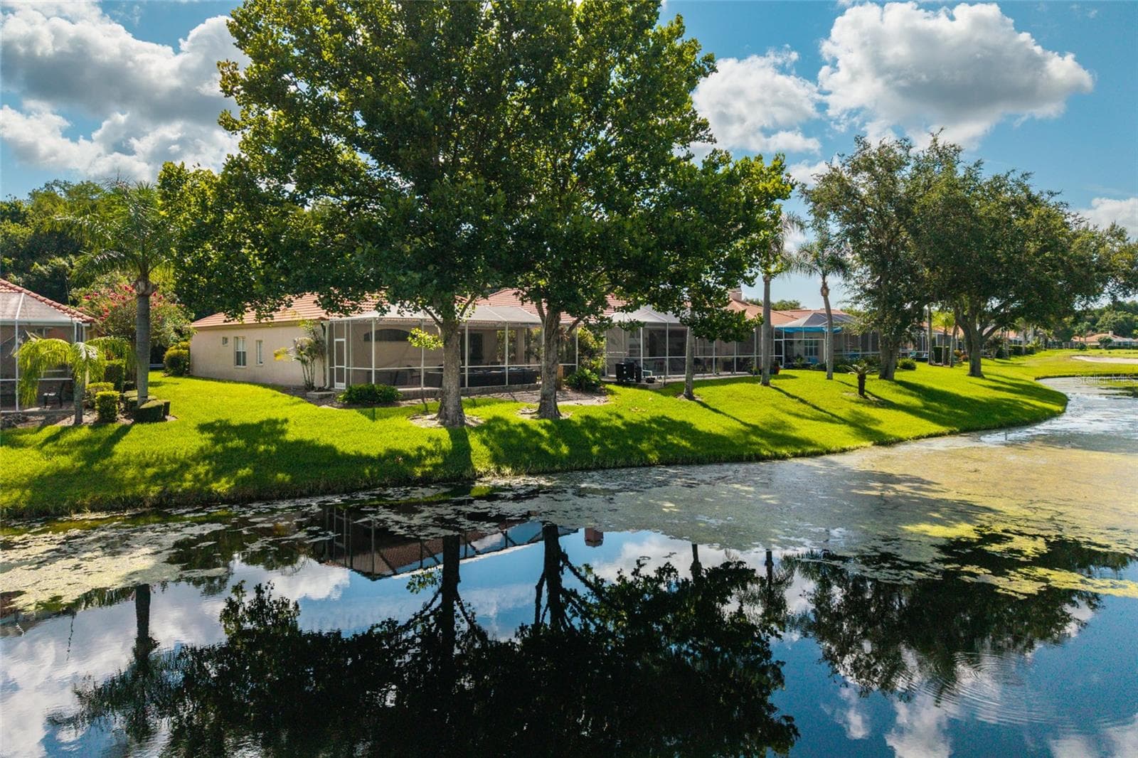 Back of house - 1338 DARTFORD DR, TARPON SPRINGS