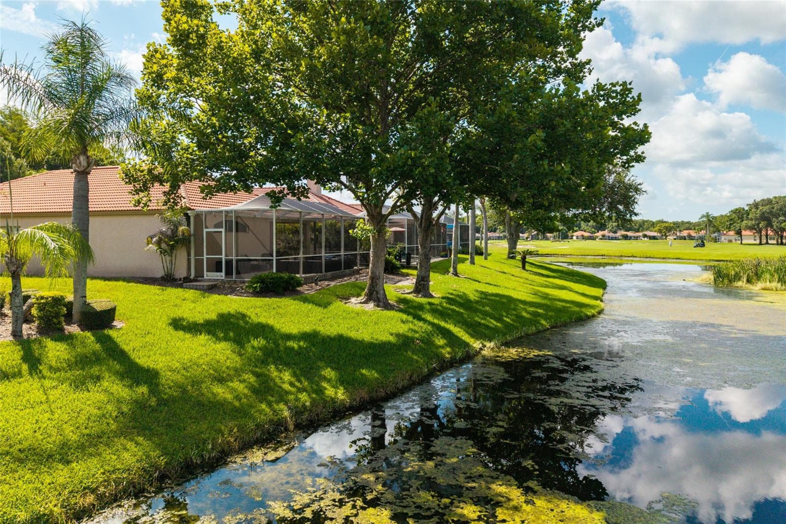 Back of house with pond view - 1338 DARTFORD DR, TARPON SPRINGS