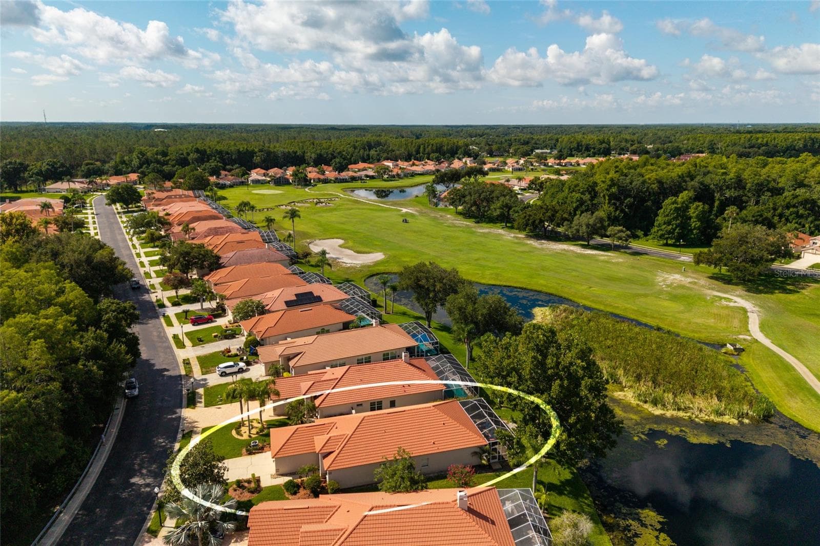 The golf cart path is to the right of the pond. - 1338 DARTFORD DR, TARPON SPRINGS