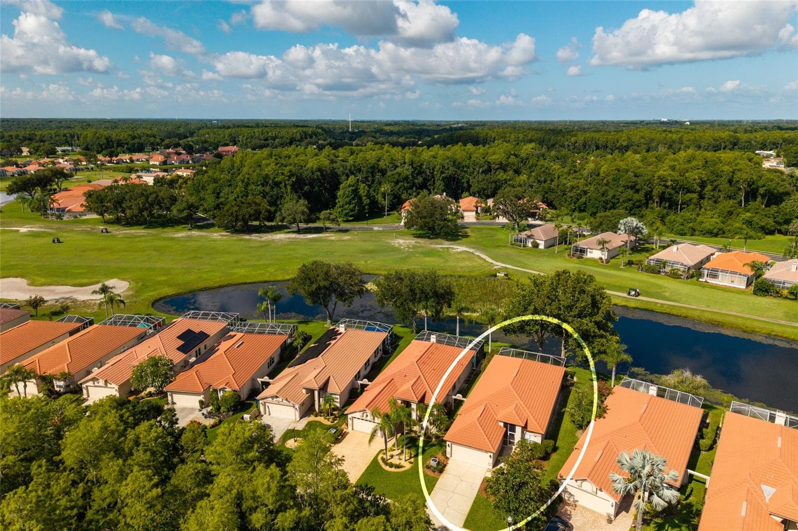 Single Family Residence at 1338 DARTFORD DR, TARPON SPRINGS, photo 5 of 106
