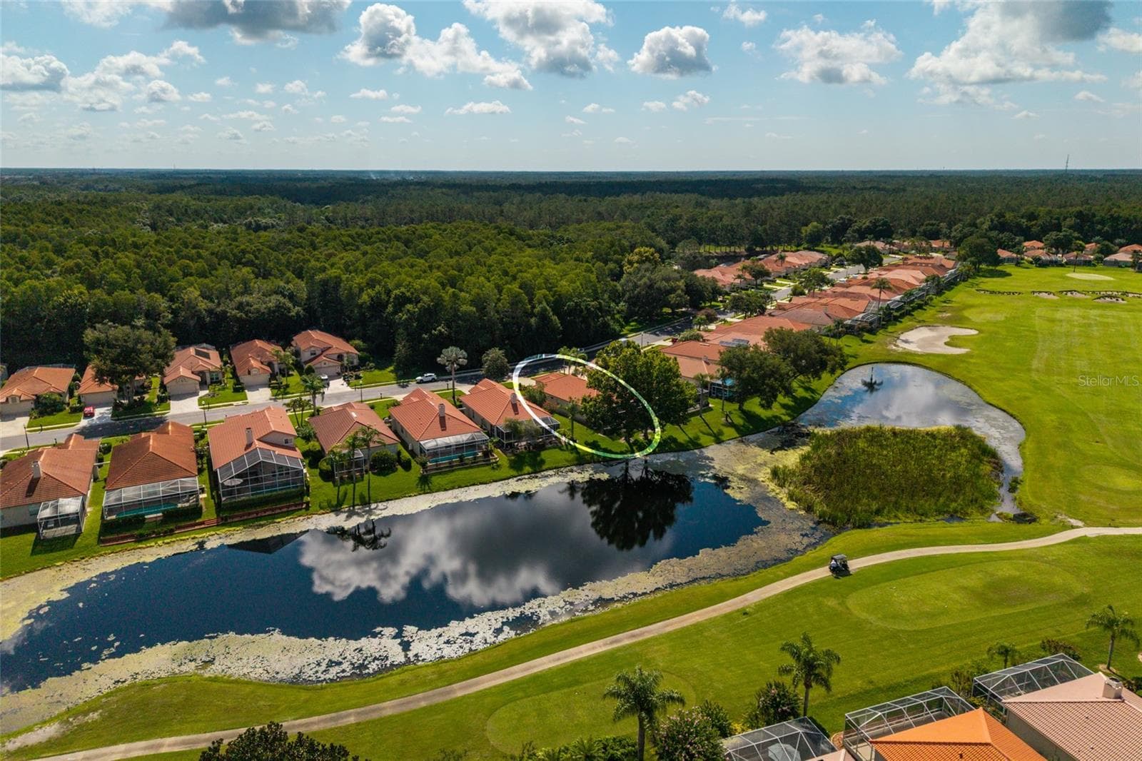 Single Family Residence at 1338 DARTFORD DR, TARPON SPRINGS, photo 77 of 106