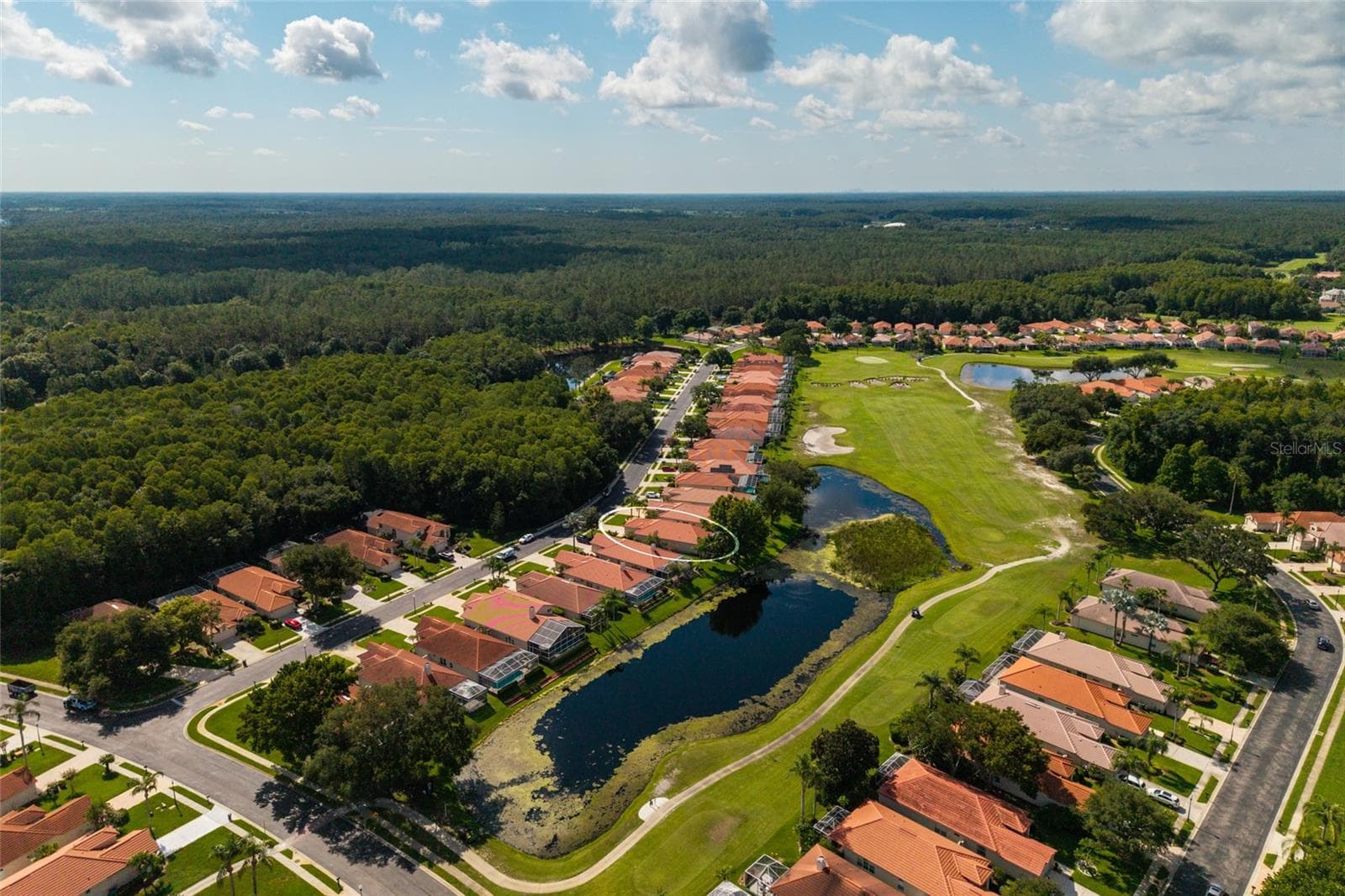 Single Family Residence at 1338 DARTFORD DR, TARPON SPRINGS, photo 78 of 106