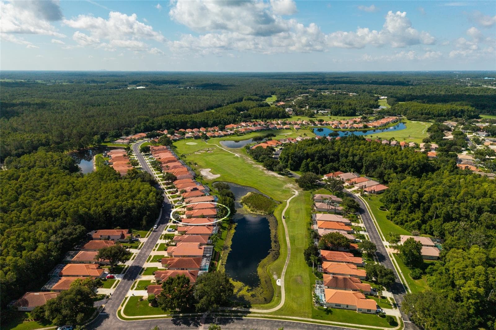 Single Family Residence at 1338 DARTFORD DR, TARPON SPRINGS, photo 79 of 106