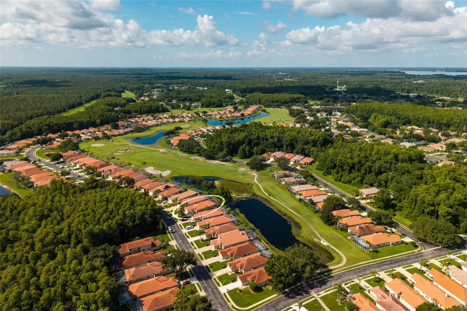 Single Family Residence at 1338 DARTFORD DR, TARPON SPRINGS, photo 80 of 106