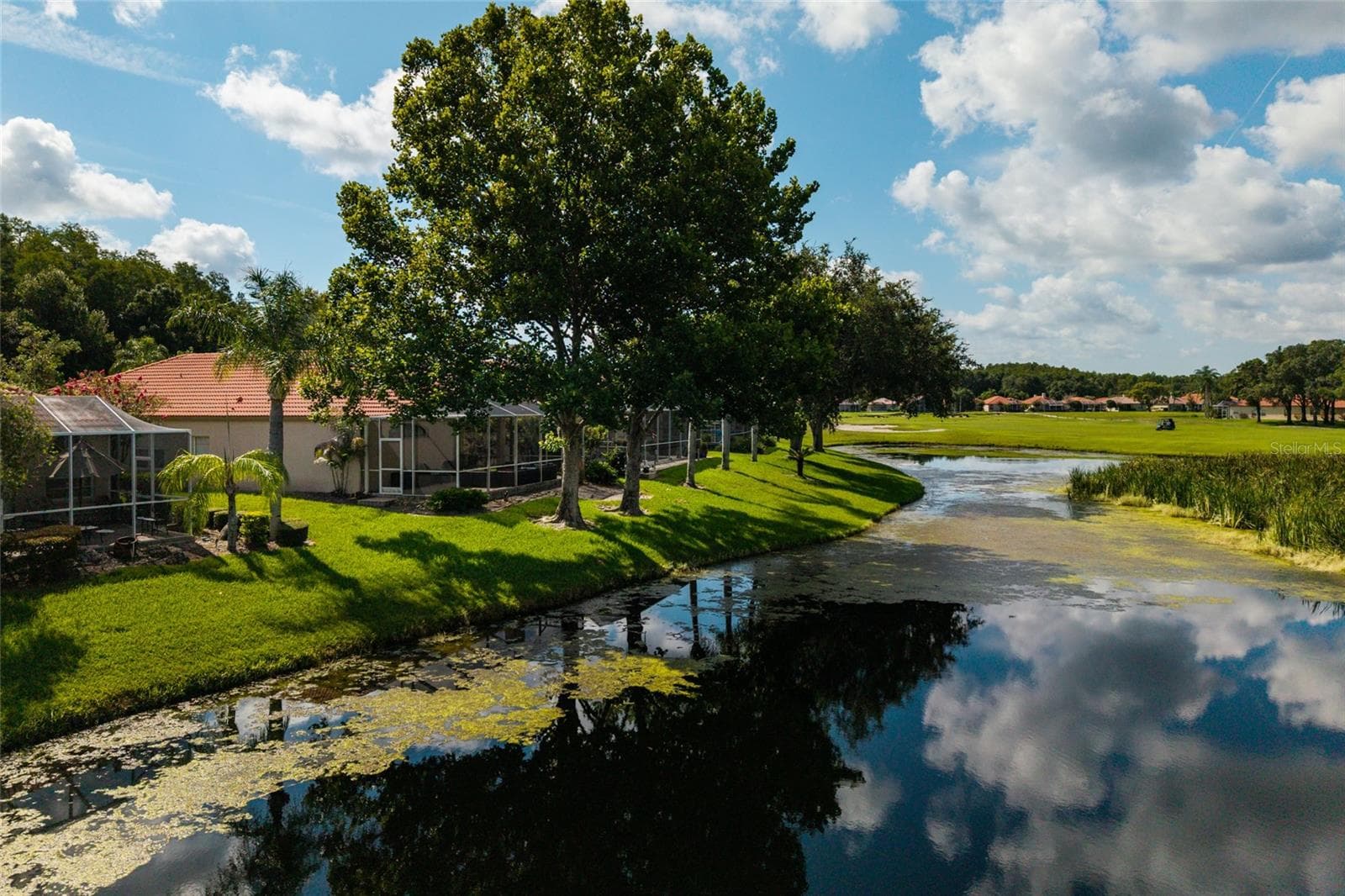 Single Family Residence at 1338 DARTFORD DR, TARPON SPRINGS, photo 84 of 106