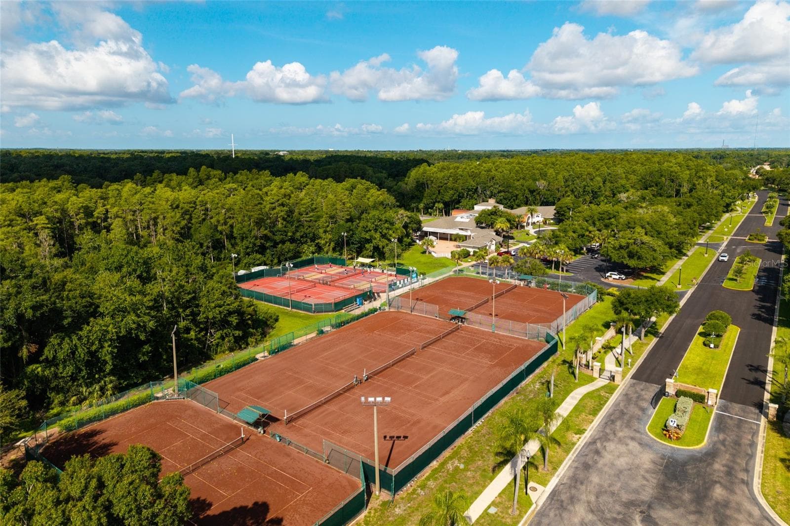 Community amenities - 1338 DARTFORD DR, TARPON SPRINGS