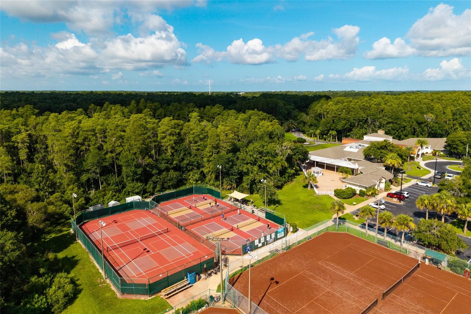 Community amenities - 1338 DARTFORD DR, TARPON SPRINGS