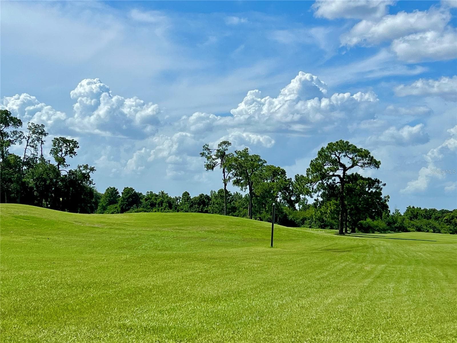 lovely view of Cypresswood golf course - 3158 BEAUCHAMP CT, WINTER HAVEN