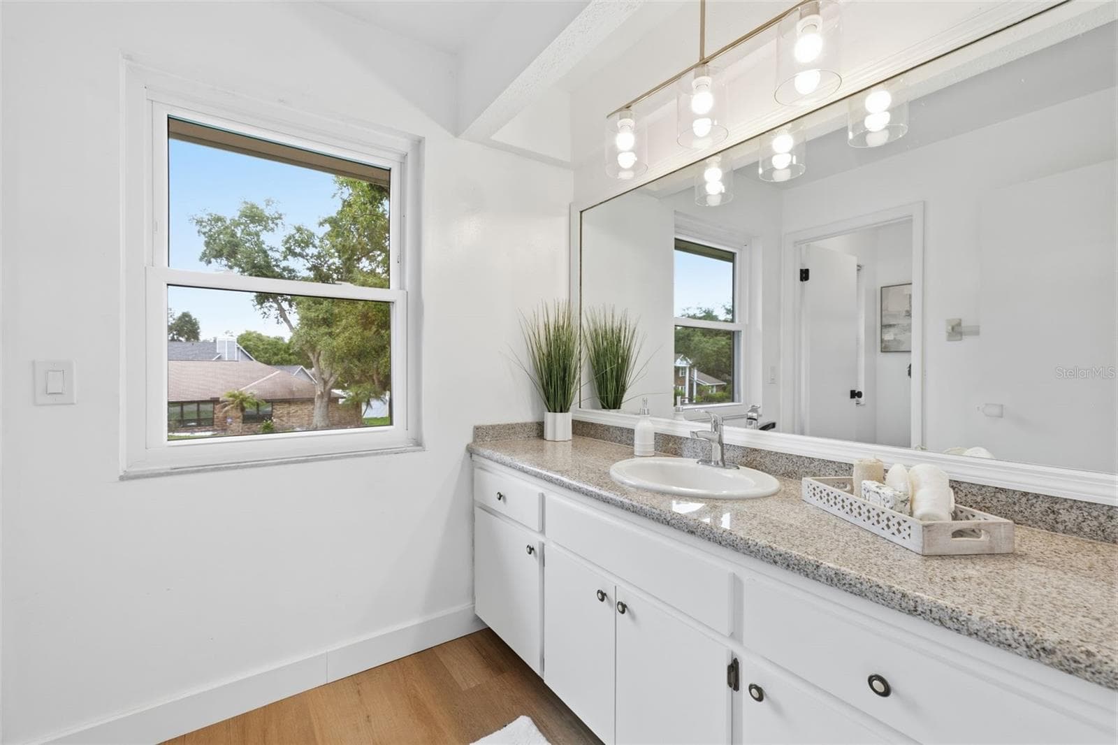 Single Family Residence at 11007 THERESA ARBOR DR, TAMPA, photo 36 of 61