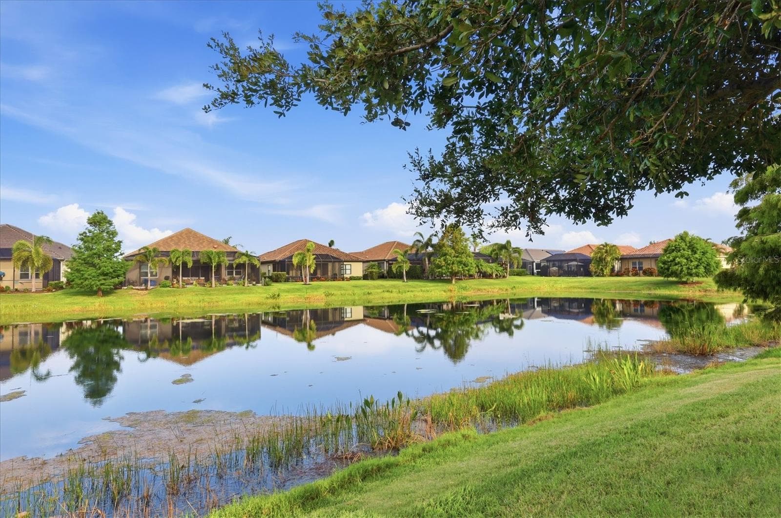 Single Family Residence at 4209 MIDNIGHT BLUE RUN, BRADENTON, photo 54 of 86