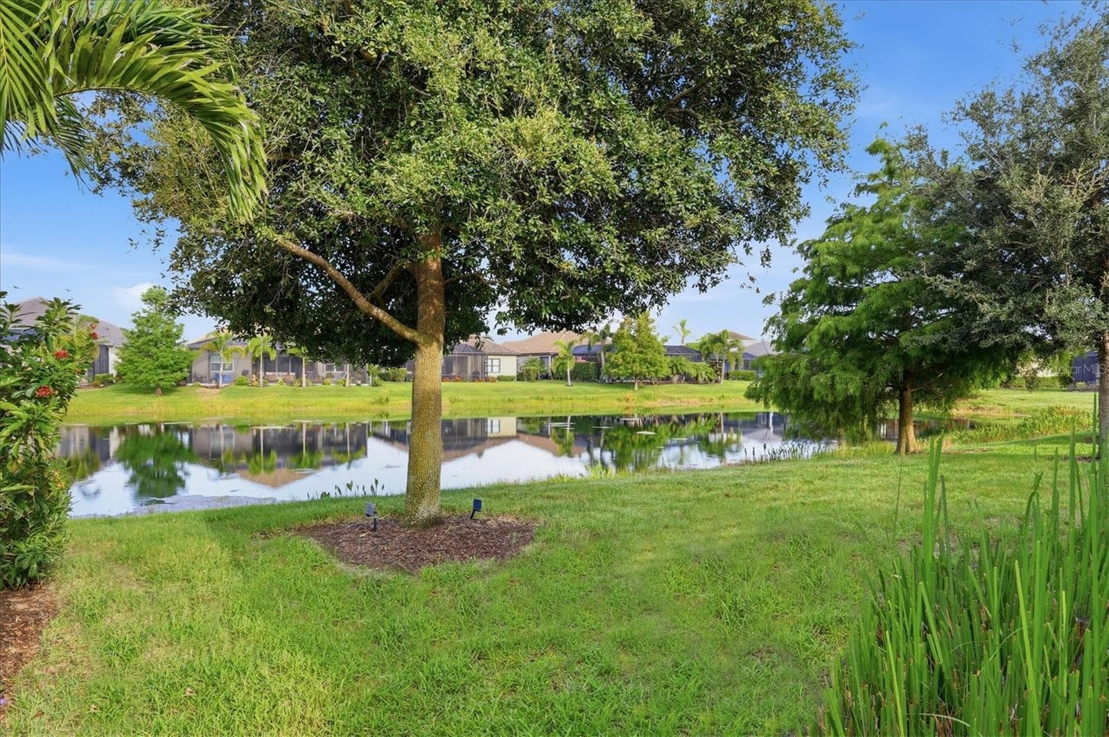 Single Family Residence at 4209 MIDNIGHT BLUE RUN, BRADENTON, photo 55 of 86