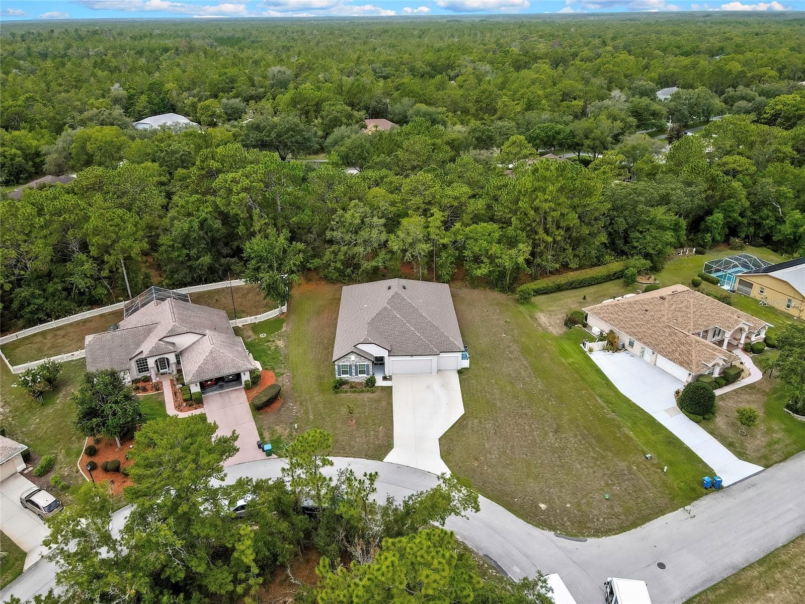 view of the conservation back area - 32 CARNATION CT, HOMOSASSA