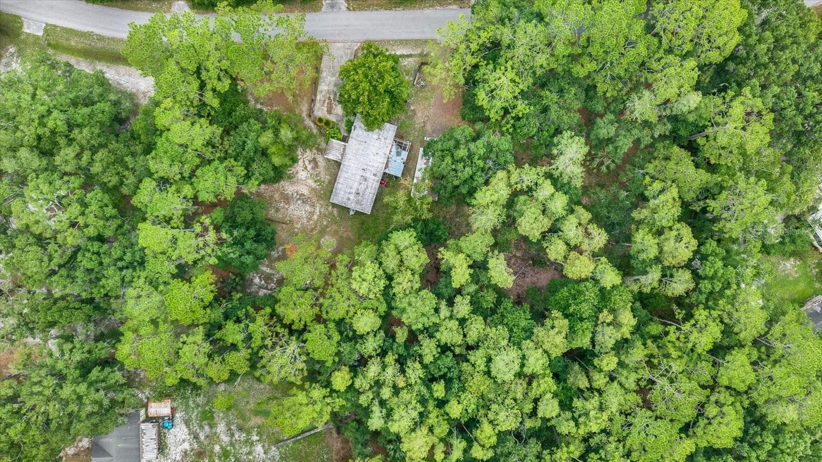 Land at 6947 ANGUS VALLEY DR, WESLEY CHAPEL, photo 5 of 21