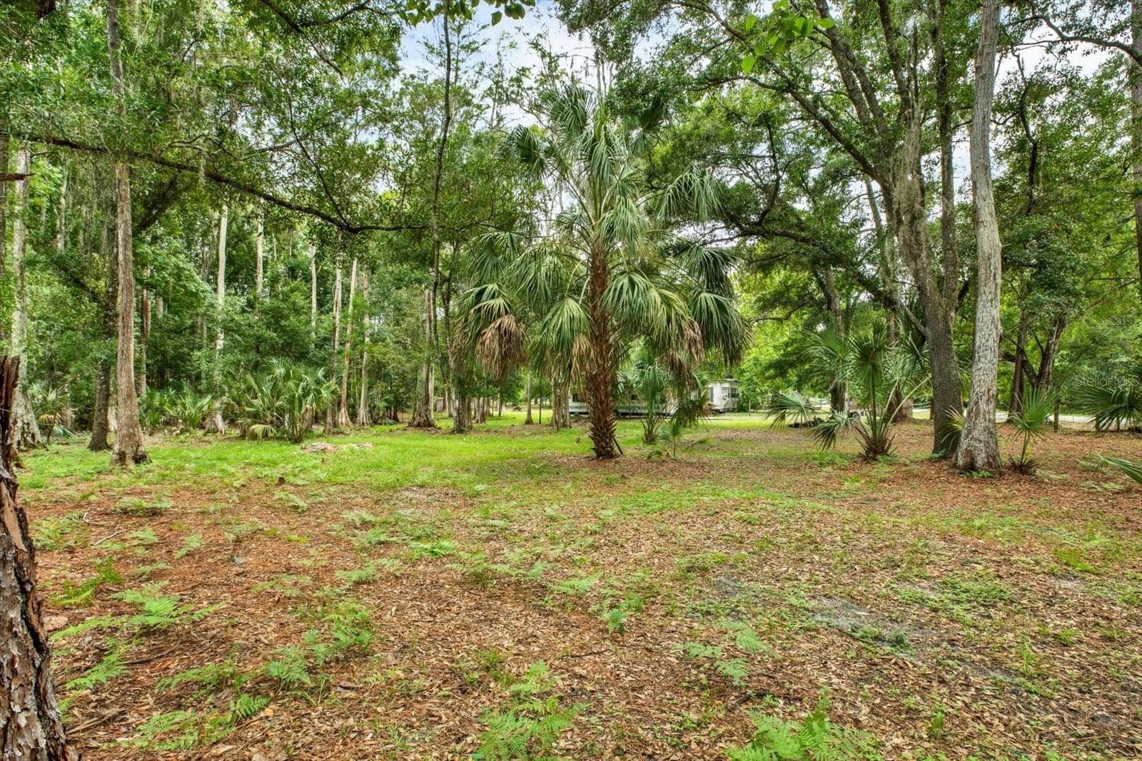 Land at 6947 ANGUS VALLEY DR, WESLEY CHAPEL, photo 10 of 21