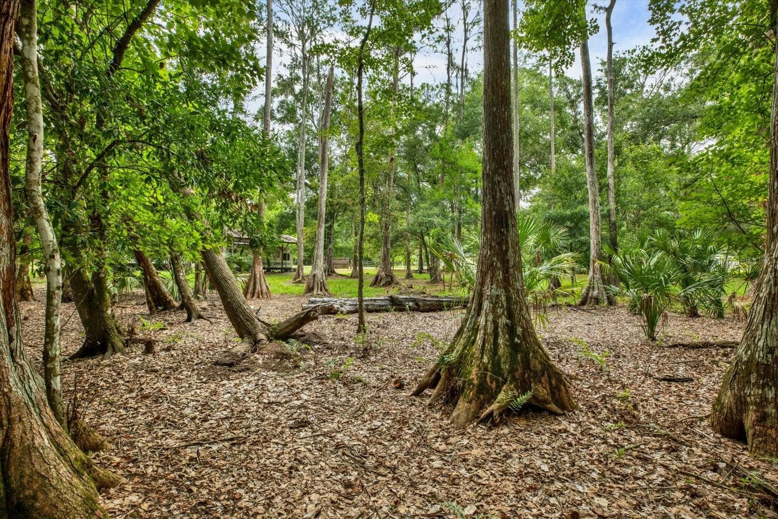 Land at 6947 ANGUS VALLEY DR, WESLEY CHAPEL, photo 11 of 21