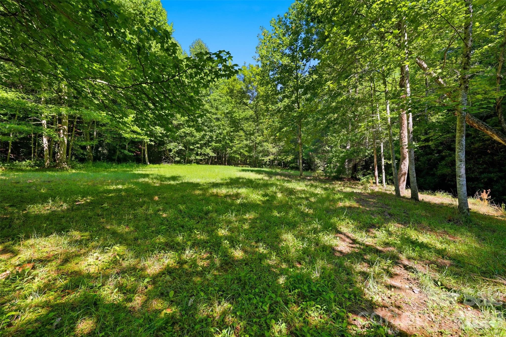 Open space by creek - 250 Millennium Drive, Taylorsville