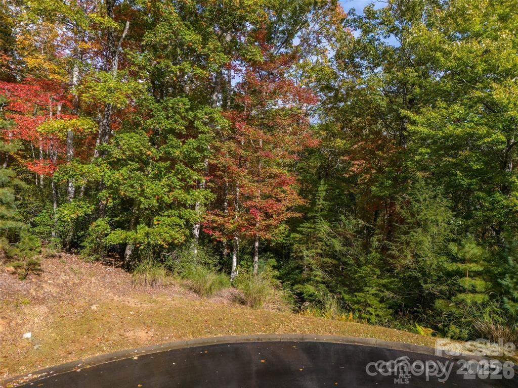 Lot at 99999 Caddis Lane, Horse Shoe, photo 2 of 7
