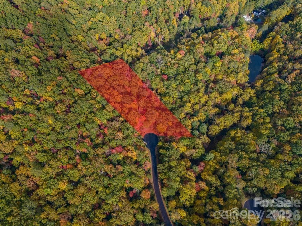 Lot at 99999 Caddis Lane, Horse Shoe, photo 3 of 7