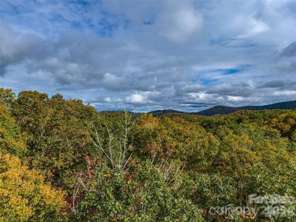 Lot at 99999 Caddis Lane, Horse Shoe, photo 5 of 7