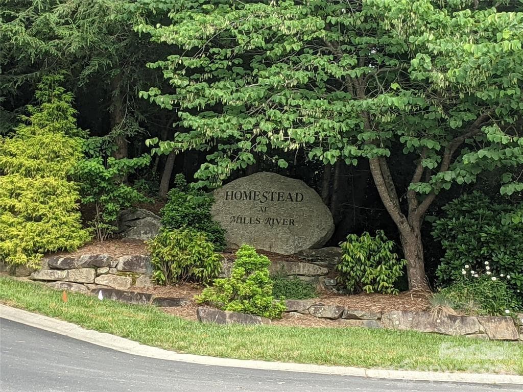 Lot at 99999 Caddis Lane, Horse Shoe, photo 6 of 7
