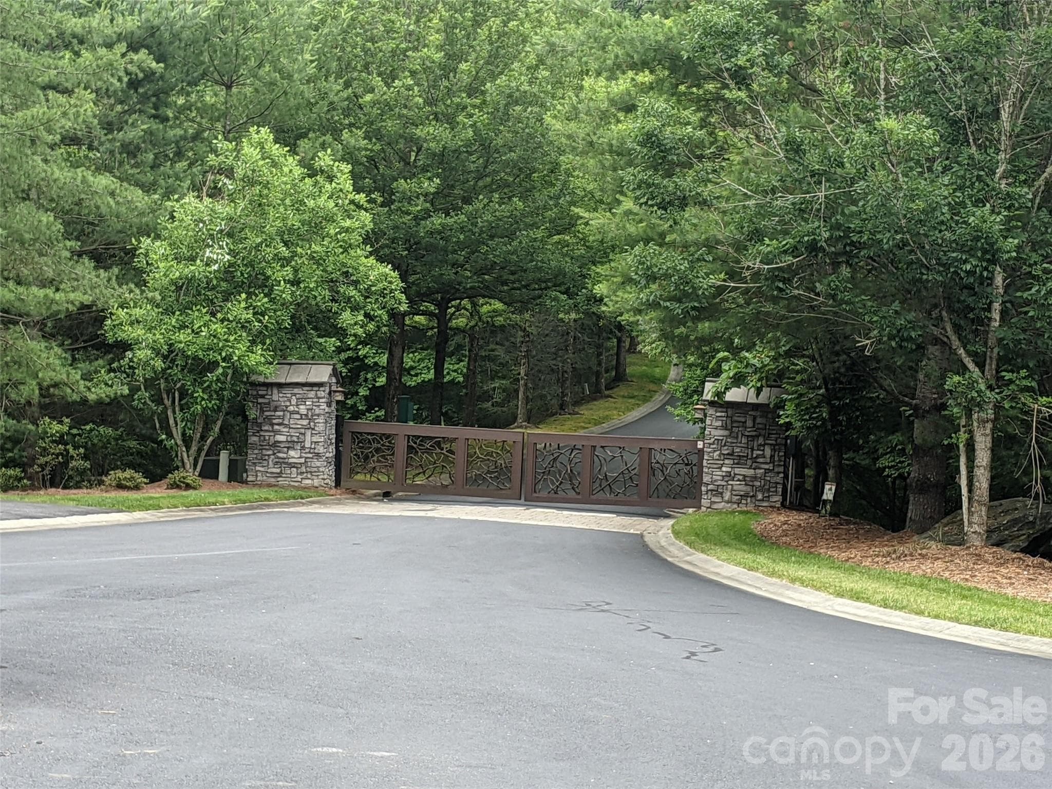 Lot at 99999 Caddis Lane, Horse Shoe, photo 7 of 7