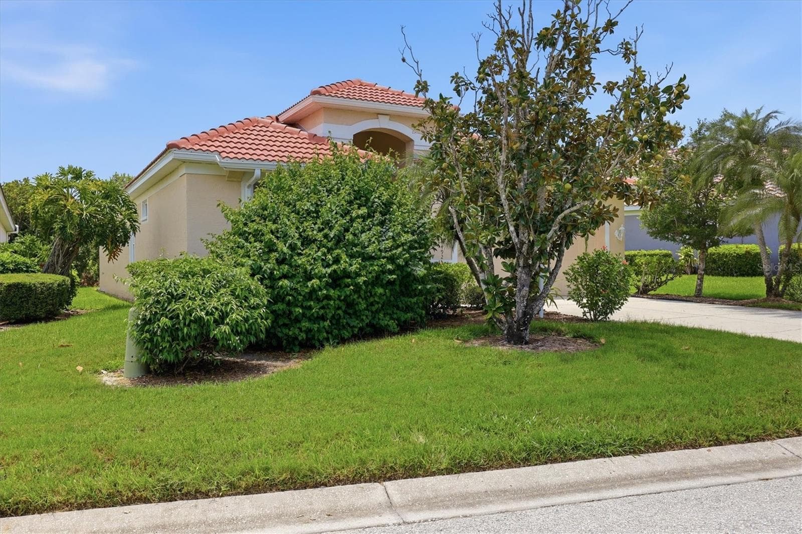 Large yard - 8492 IDLEWOOD CT, LAKEWOOD RANCH