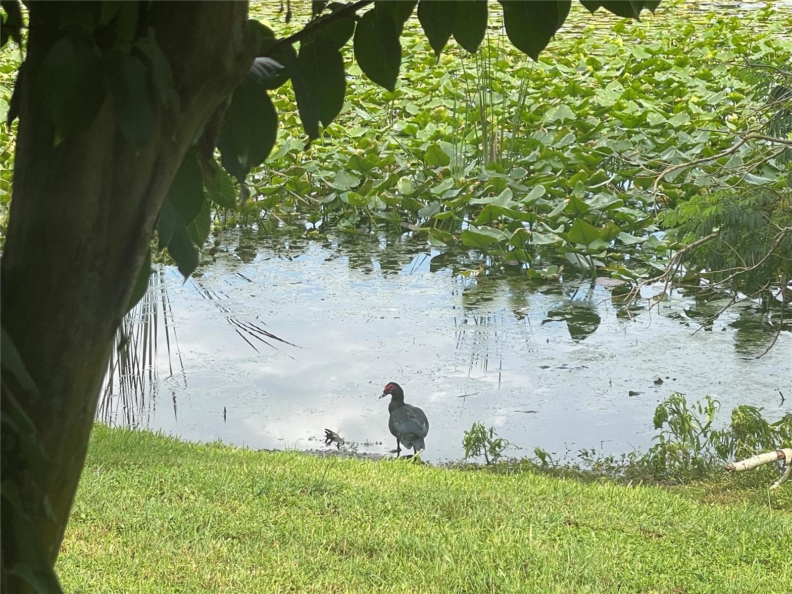 Condominium at 145 N PEARL LAKE CSWY #112, ALTAMONTE SPRINGS, photo 24 of 43
