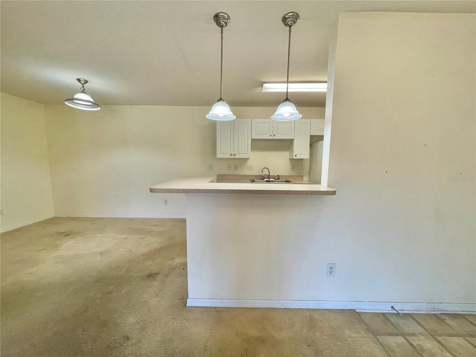 As you can see the flooring needs replacing. This place would look great with luxury vinyl plank flooring or new carpet - 145 N PEARL LAKE CSWY #112, ALTAMONTE SPRINGS