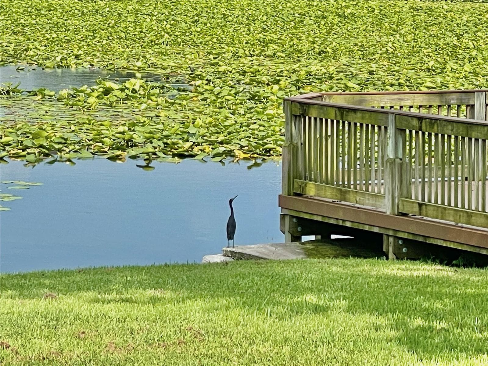 Condominium at 145 N PEARL LAKE CSWY #112, ALTAMONTE SPRINGS, photo 33 of 43