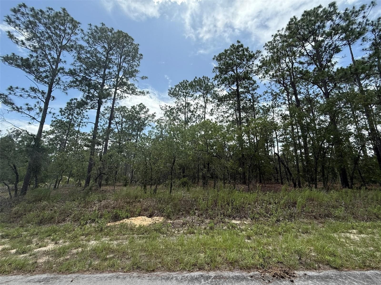 TBD TREE TOP RD