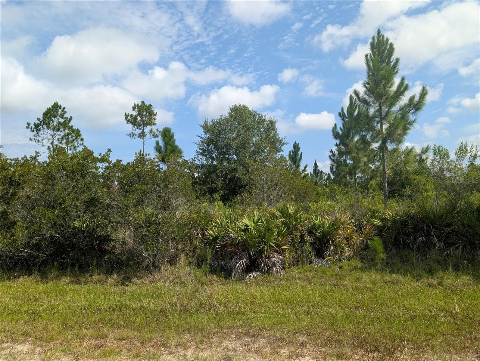 INDIAN LAKE ESTATES