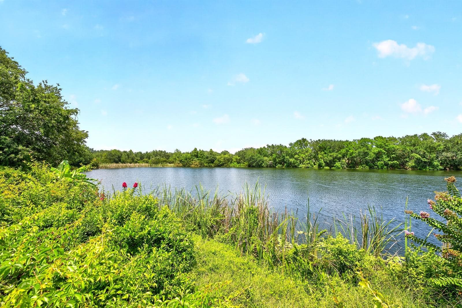Being a waterfront community means tranquil views. - 4607 RING NECK RD #36C, ORLANDO