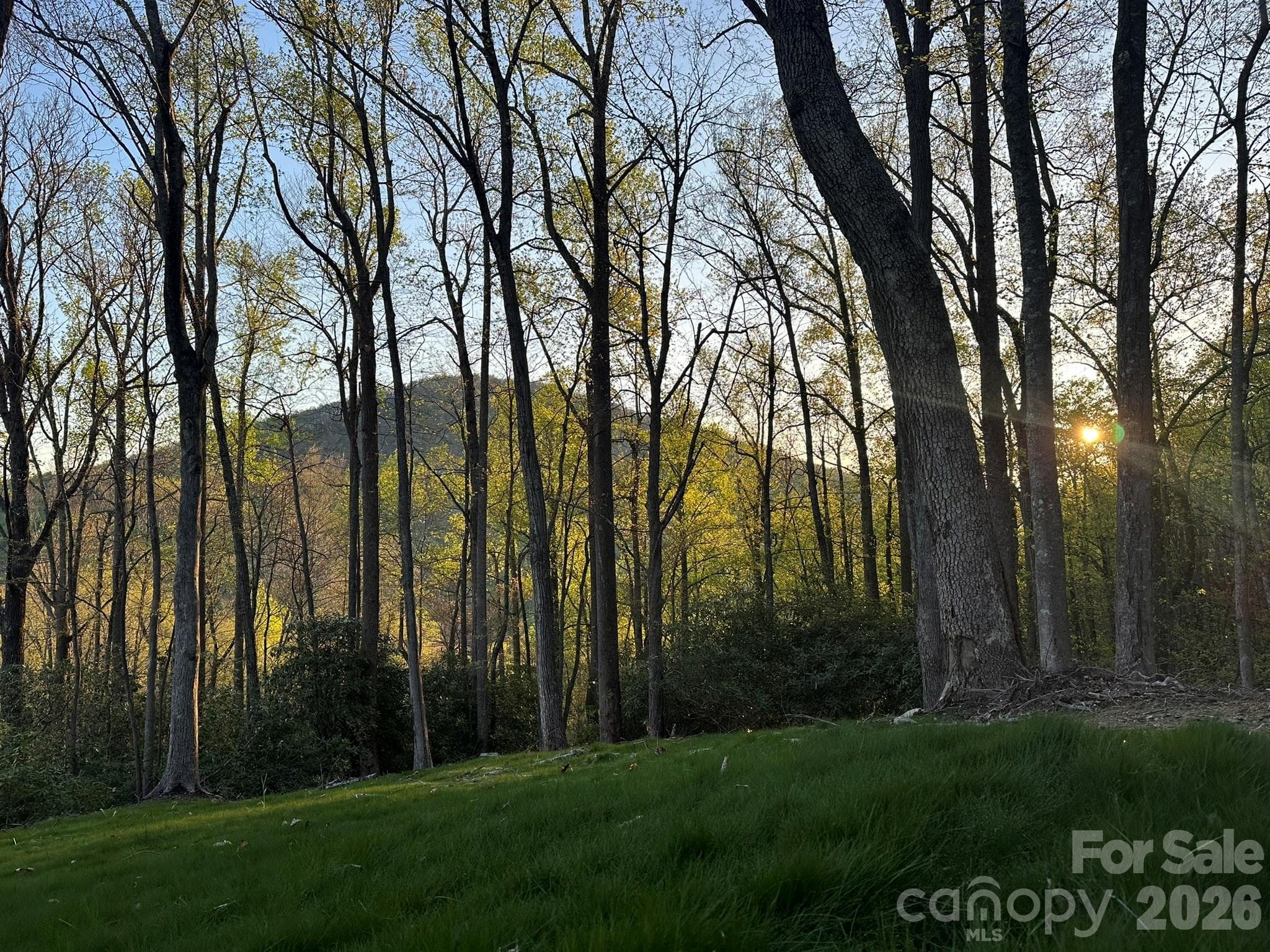 Lot at 202 Hemlock Grove Trail, Hendersonville, photo 9 of 21